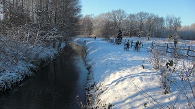 Een met sneeuw bedekte rivier met een houten brug en bomen op de achtergrond.