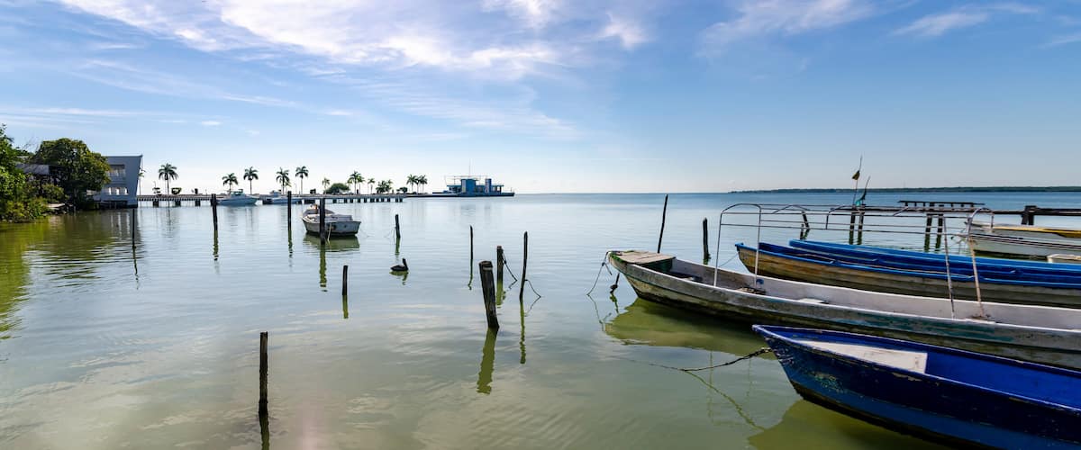 A calm waterfront with several boats docked, a pier with palm trees, and a clear sky.
