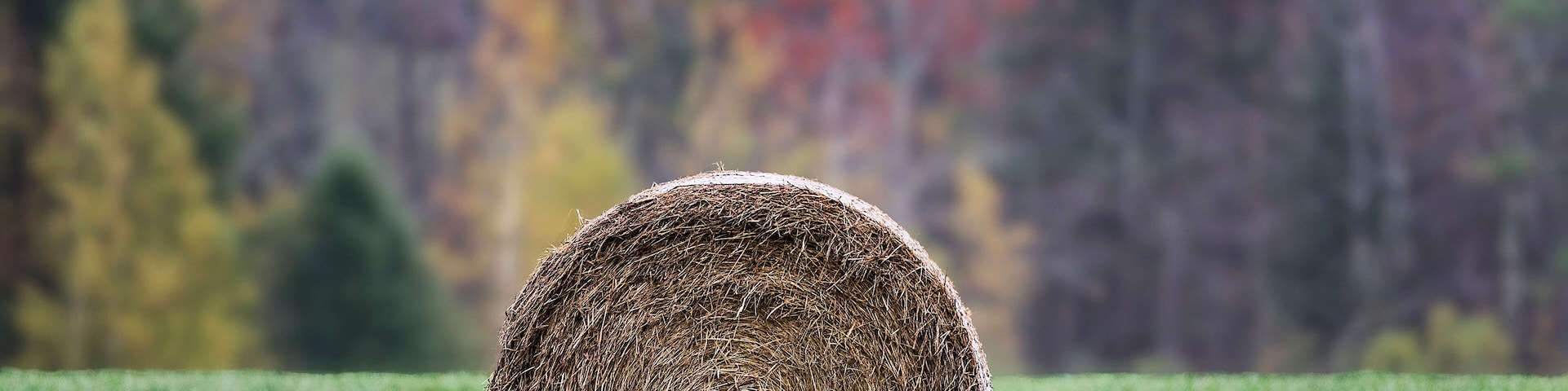 Hay bale in farm field, Bristol, Vermont, USA.
