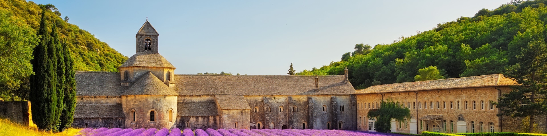 A historic building with a bell tower, surrounded by lavender fields.