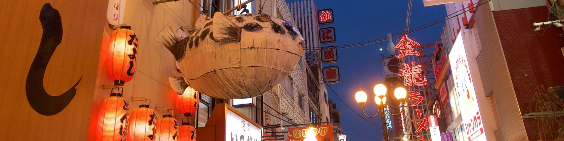 Namba featuring a city