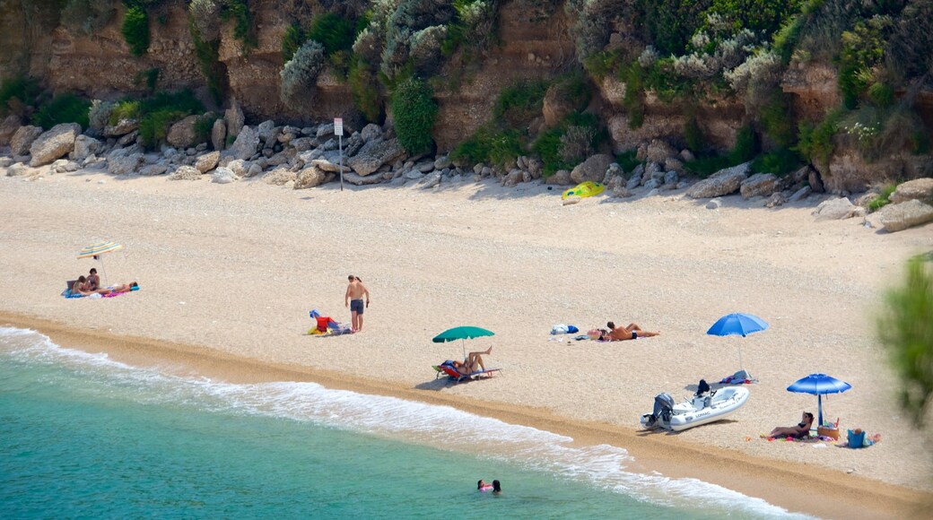 Gargano Peninsula which includes general coastal views and a sandy beach