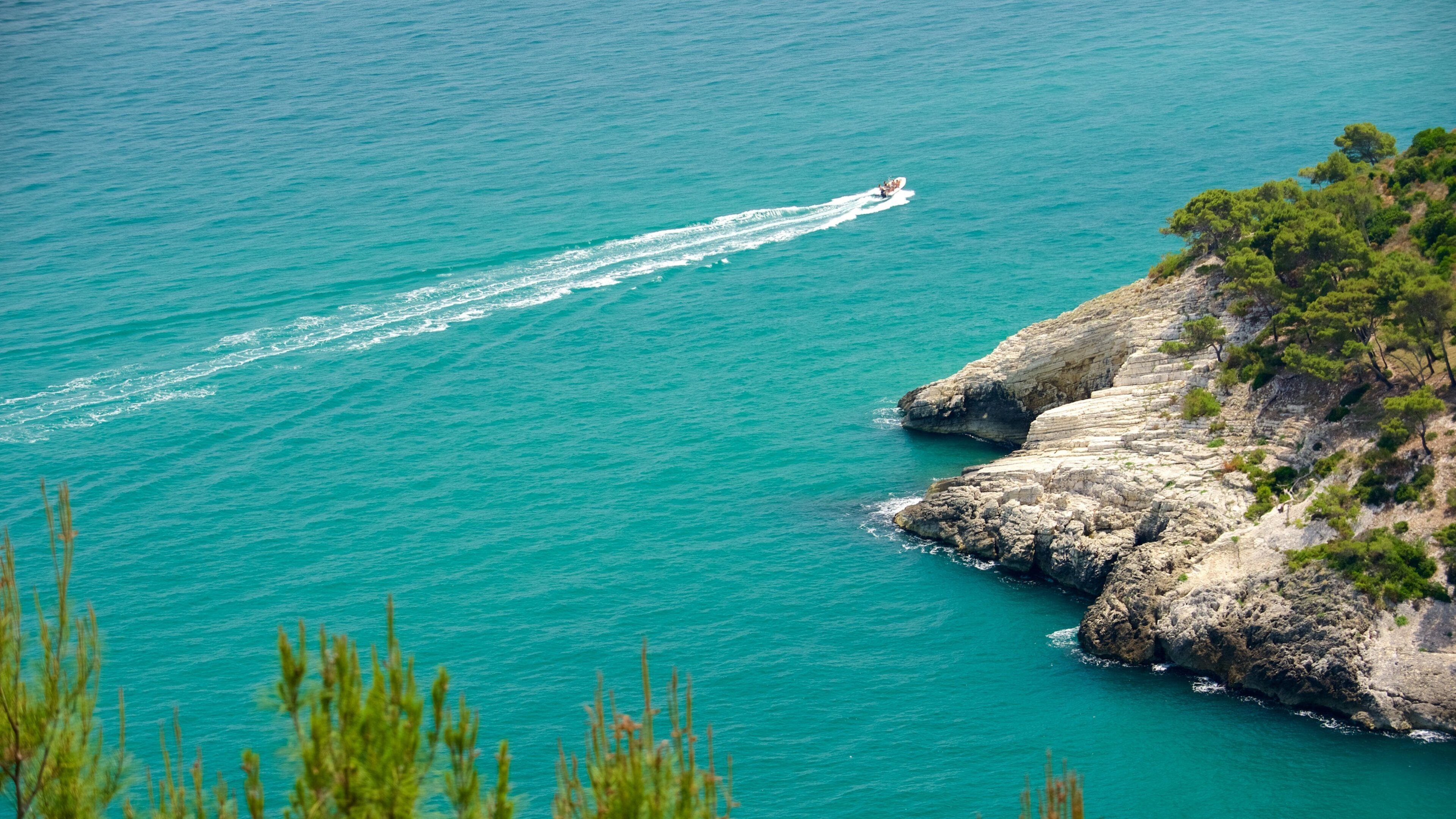 Gargano Peninsula which includes rocky coastline