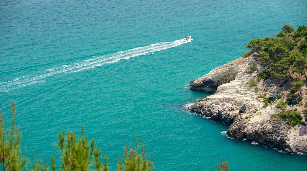 Gargano Peninsula which includes rocky coastline