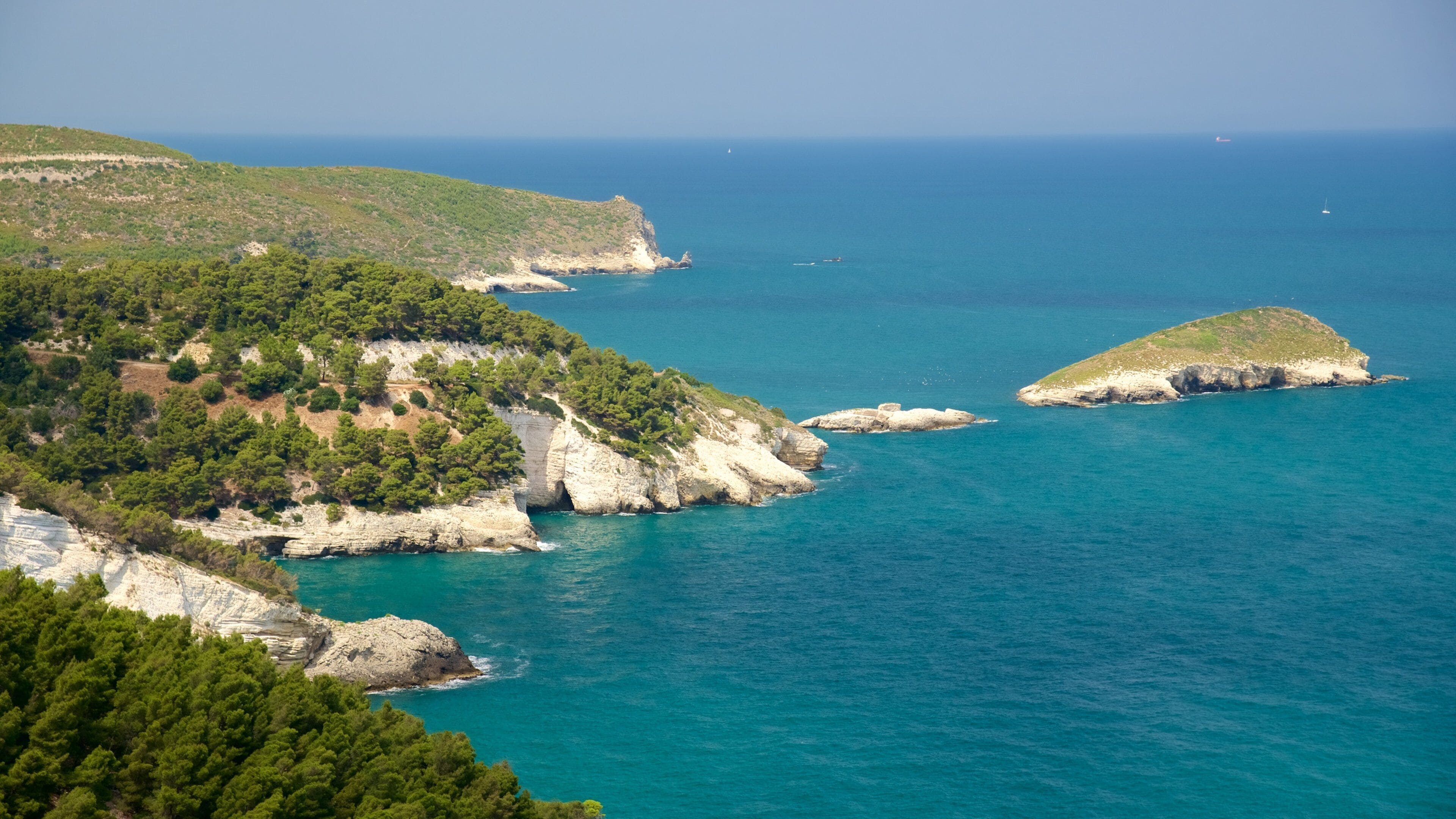 A coastal landscape with rocky cliffs, dense green forests, and clear blue waters.