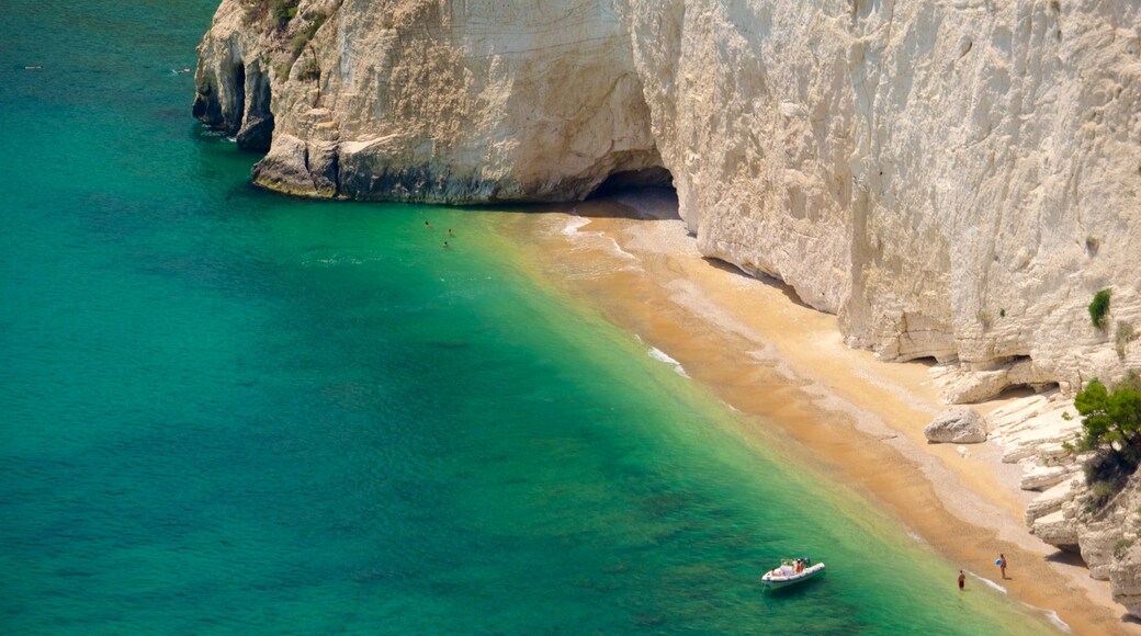 Península Gargano ofreciendo una playa de arena y vistas generales de la costa
