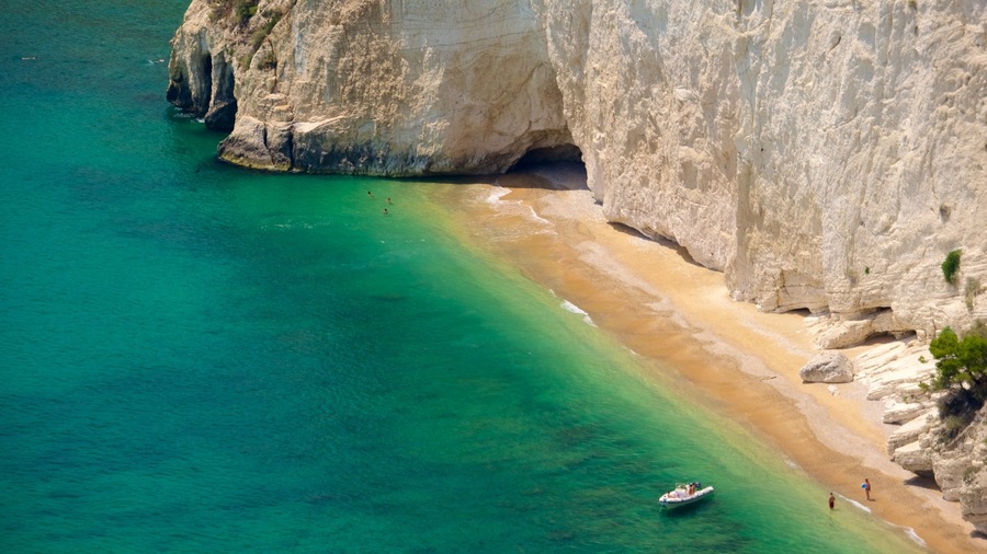 Gargano Peninsula which includes a beach and general coastal views
