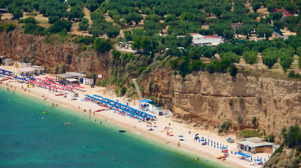 Gargano Peninsula which includes general coastal views and a sandy beach