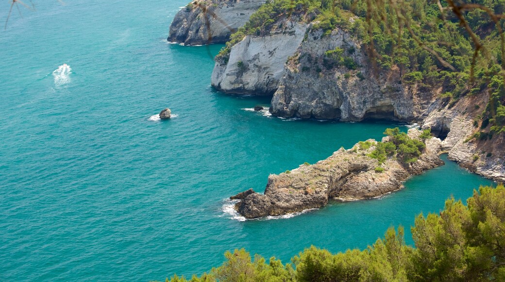 Gargano Peninsula which includes rugged coastline