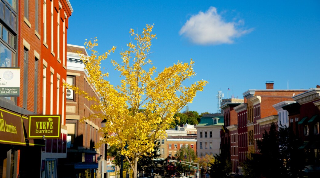 Bangor featuring autumn leaves and a city