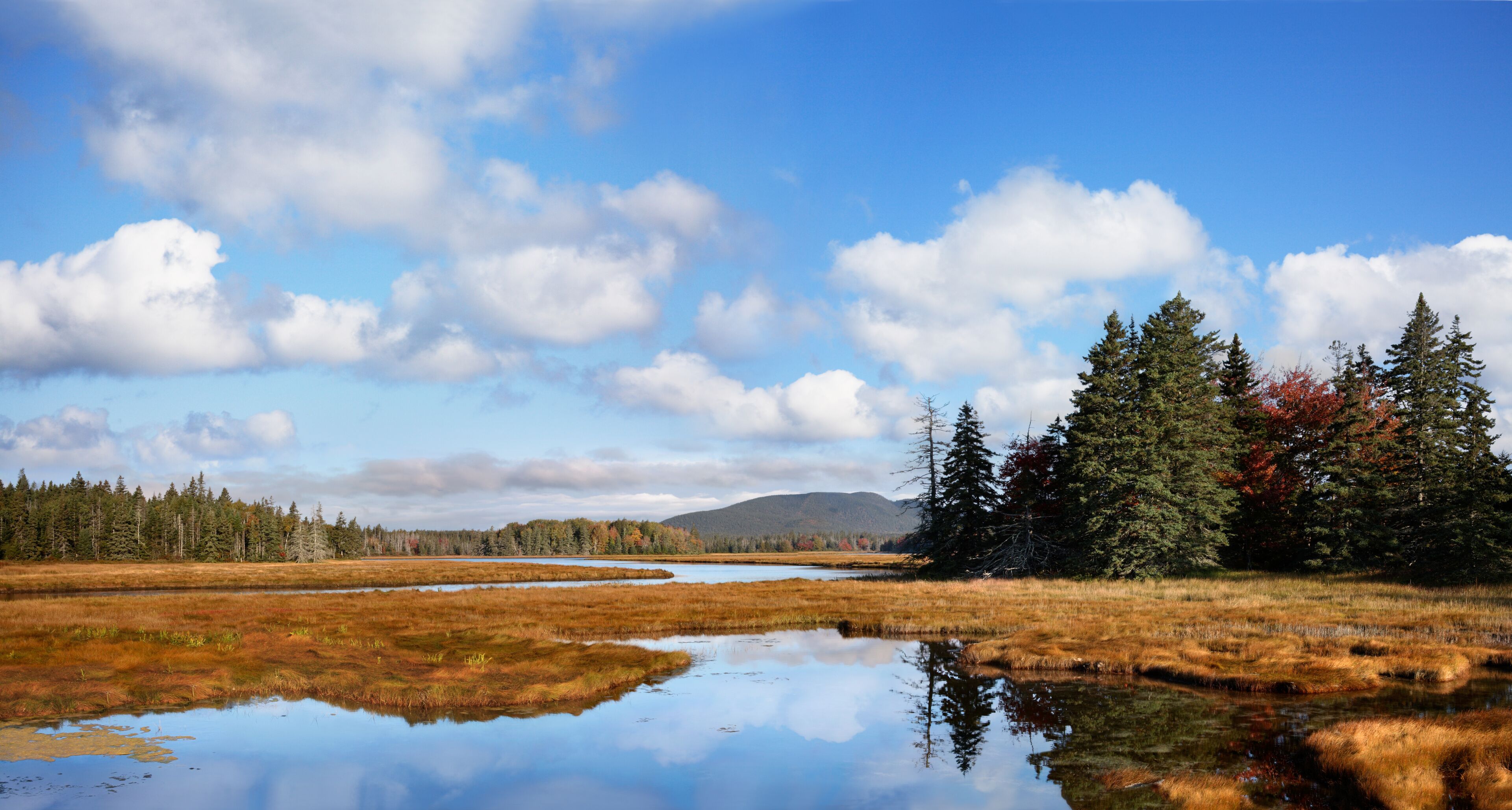 A landscape with a reflective water body, dense forest, and a distant mountain under a partly cloudy sky.