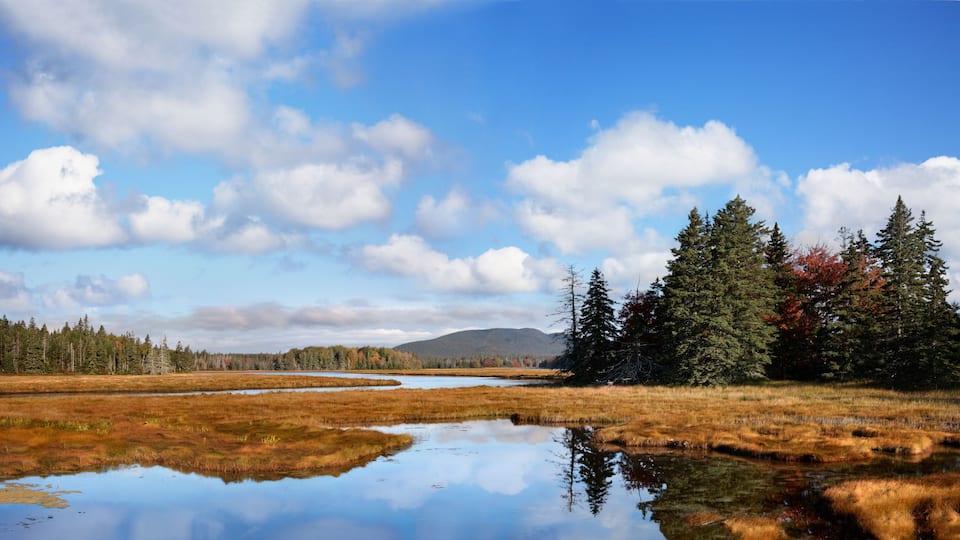 A landscape with a reflective water body, dense forest, and a distant mountain under a partly cloudy sky.