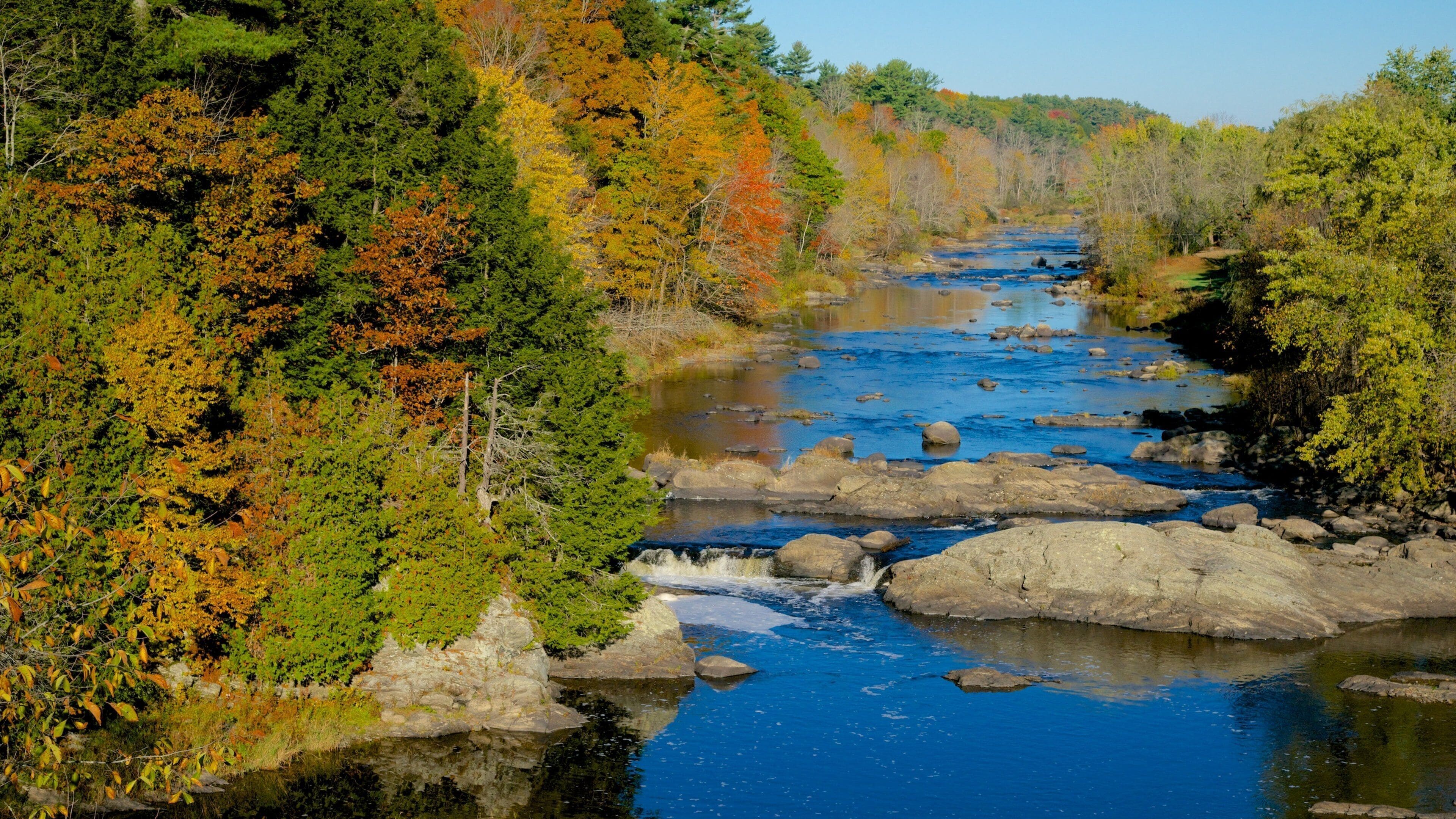 Bangor bevat een rivier of beek en herfstbladeren