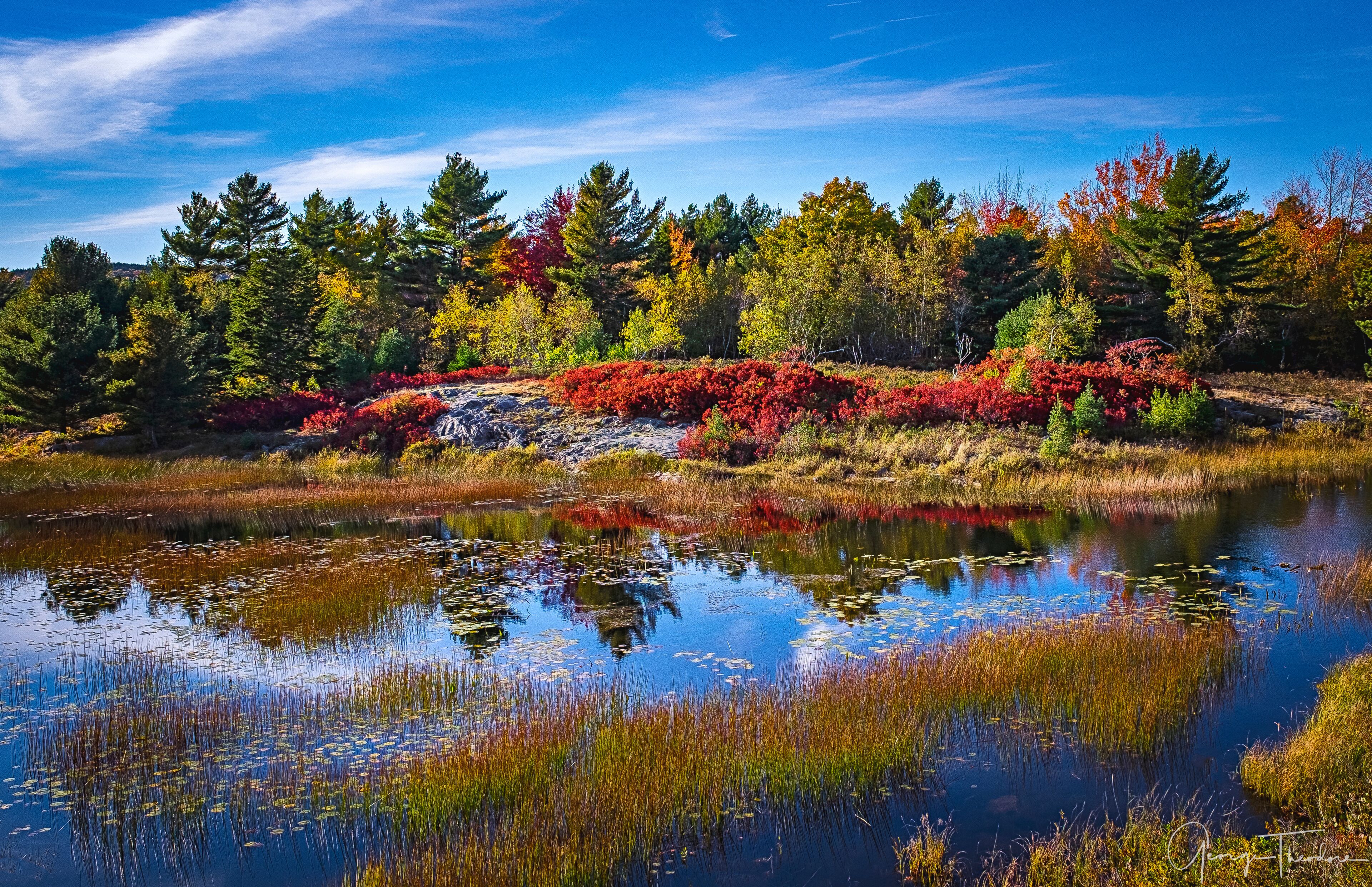 A lake surrounded by autumn-colored trees and a clear blue sky.