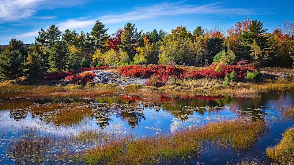 A lake surrounded by autumn-colored trees and a clear blue sky.