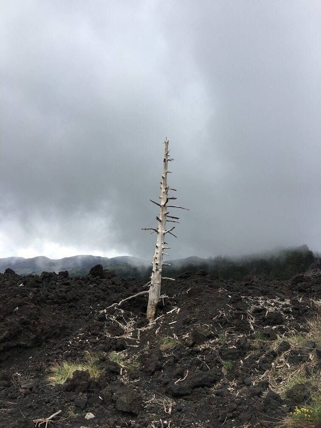 On top of vulcano Etna, a landscape that looks like you are on the moon. An excursion on the Etna is a must-see if you to Sicily. Perfect way to discover it: book a guide and a quad!
#LifeAtExpexia