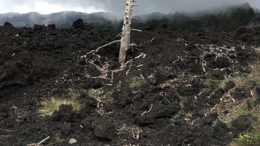 On top of vulcano Etna, a landscape that looks like you are on the moon. An excursion on the Etna is a must-see if you to Sicily. Perfect way to discover it: book a guide and a quad!
#LifeAtExpexia
