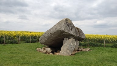 An interesting find in the middle of the canola fields of Ireland. How did these large rocks get placed here?