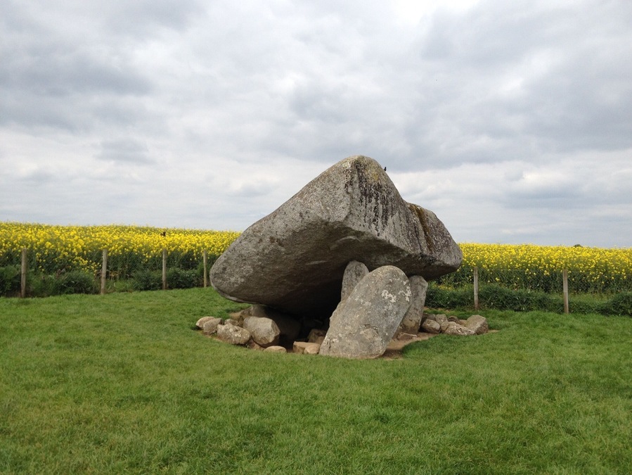 An interesting find in the middle of the canola fields of Ireland. How did these large rocks get placed here?