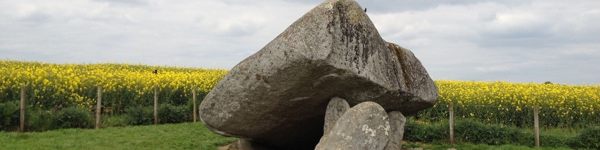 An interesting find in the middle of the canola fields of Ireland. How did these large rocks get placed here?