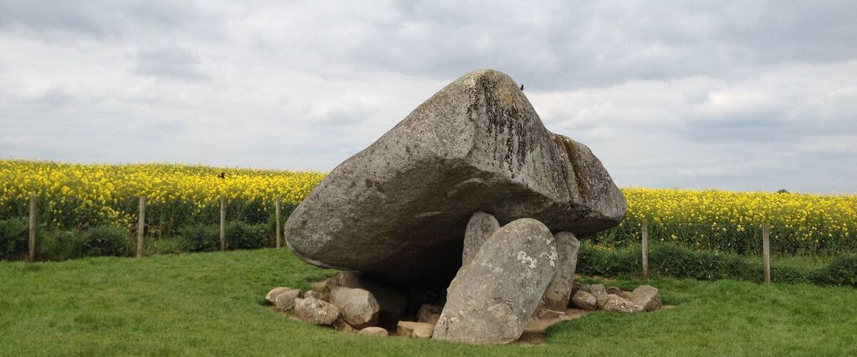 A large rock formation in a field with yellow flowers in the background.