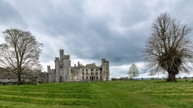 Un castillo histórico con múltiples torres y almenas, rodeado por un campo cubierto de hierba y árboles desprovistos de hojas bajo un cielo nublado.