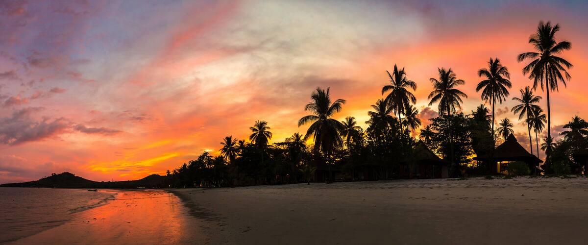 A beach at sunset with palm trees and a small hut.