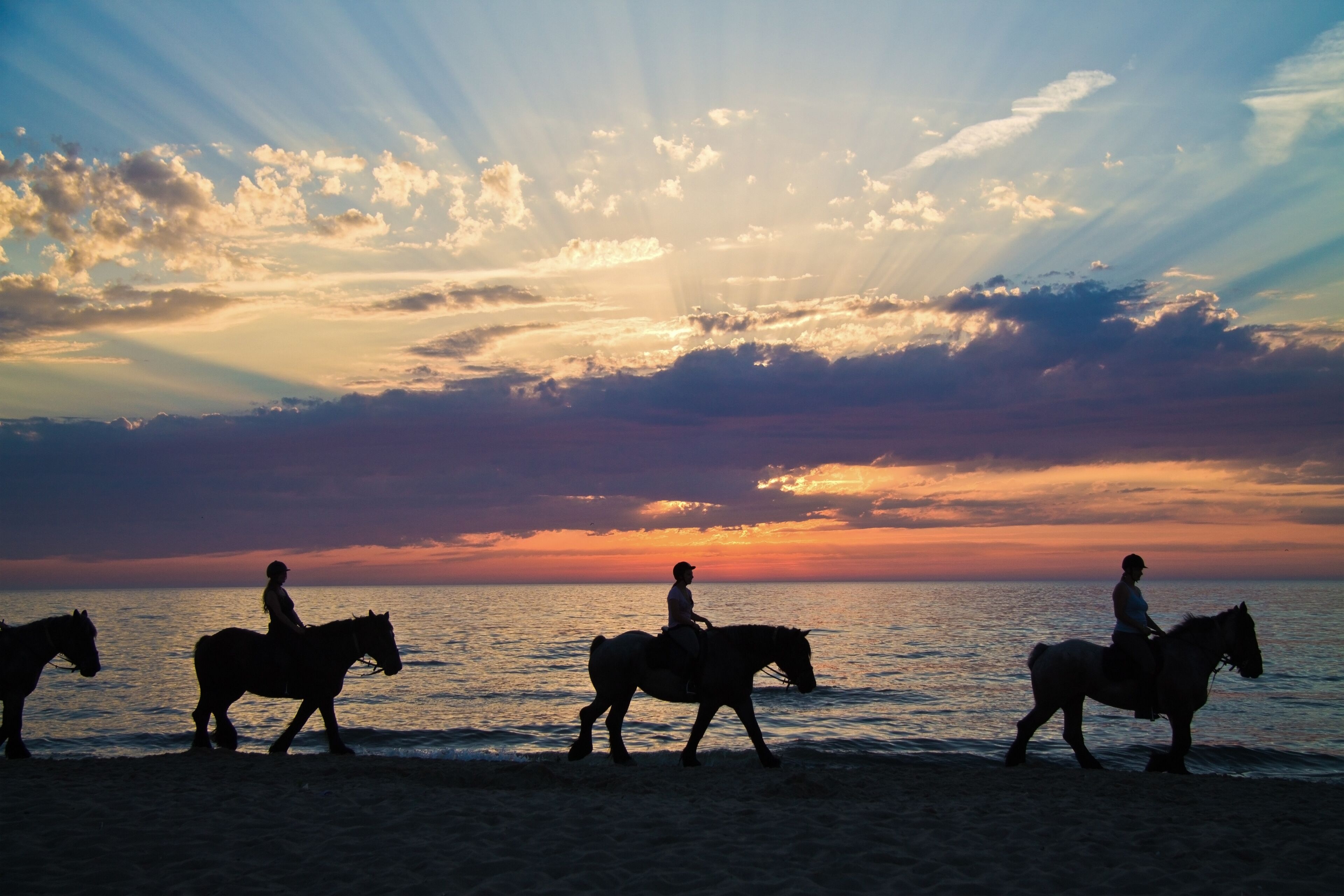 Silhouette of horse riders against the ocean and a sunset