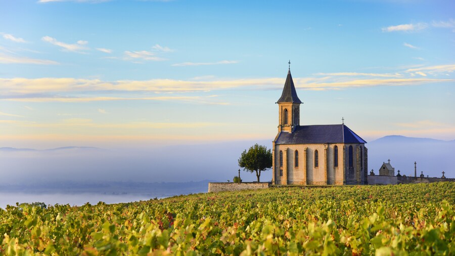 Vineyards and church in Beaujolais with a large blue sky at sunrise, France; Shutterstock ID 510601147