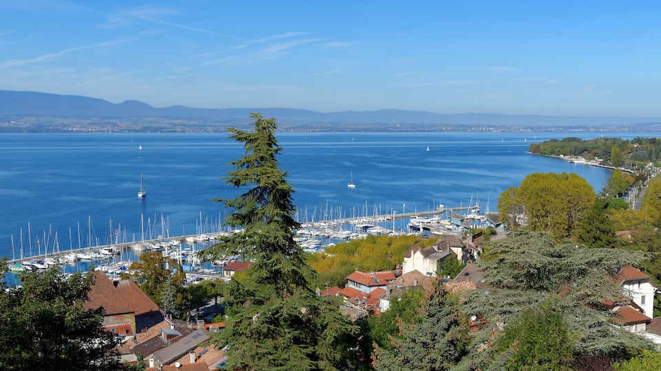 A marina with boats, a clear blue lake, and surrounding greenery.