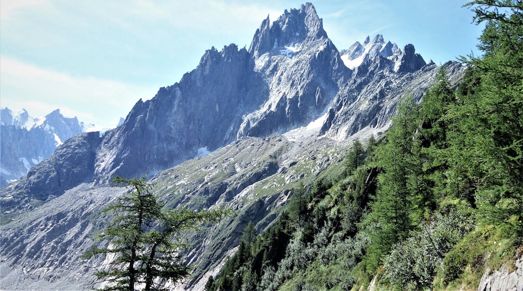 A rack and pinion railway brings you to from Chamonix to the Montenvers site (and the ‘Mer de Glace’ glacier) at 1913 m, offering beautiful views along the route. #GreatOutdoors #TroveOnTuesday #Nature #Trovember