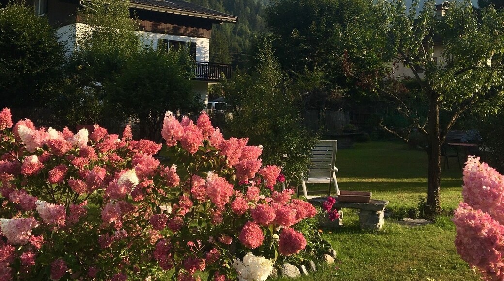 Beautiful town near Mount Blanc:))