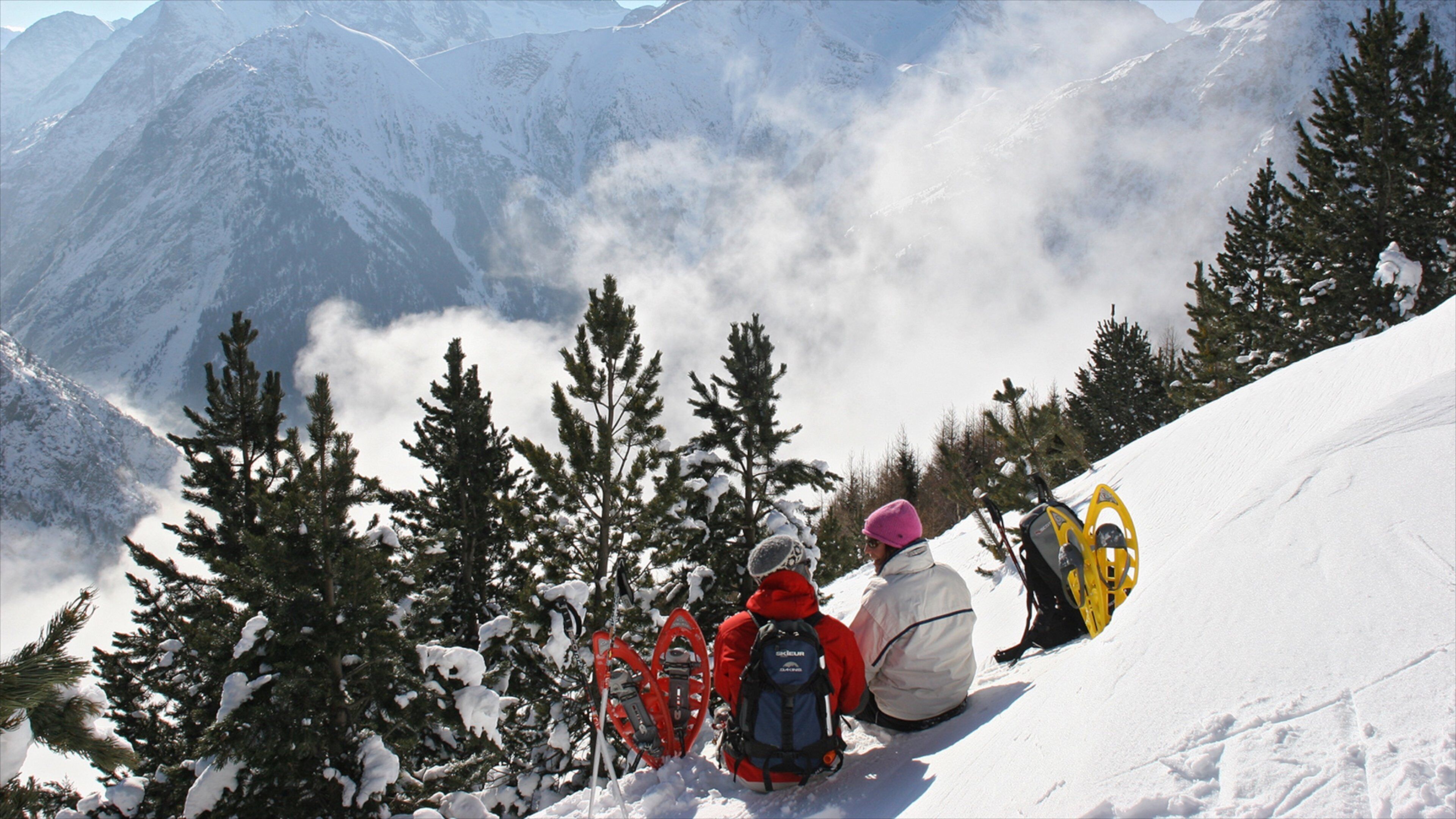Alpes du Nord featuring snow as well as a couple