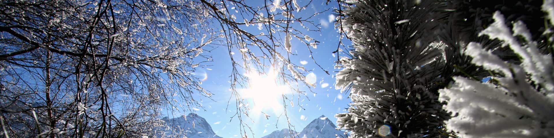 Les 2 Alpes featuring snow