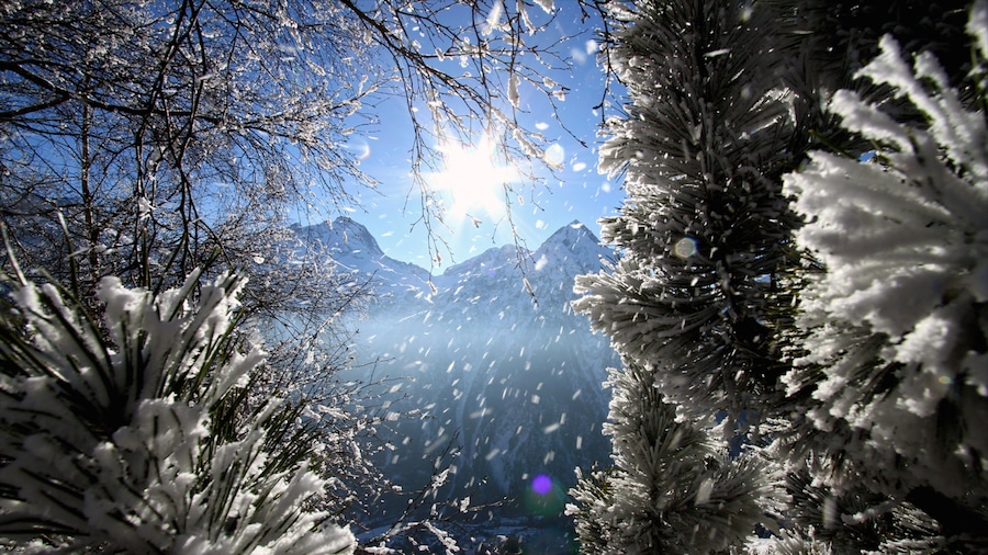 Les 2 Alpes featuring snow