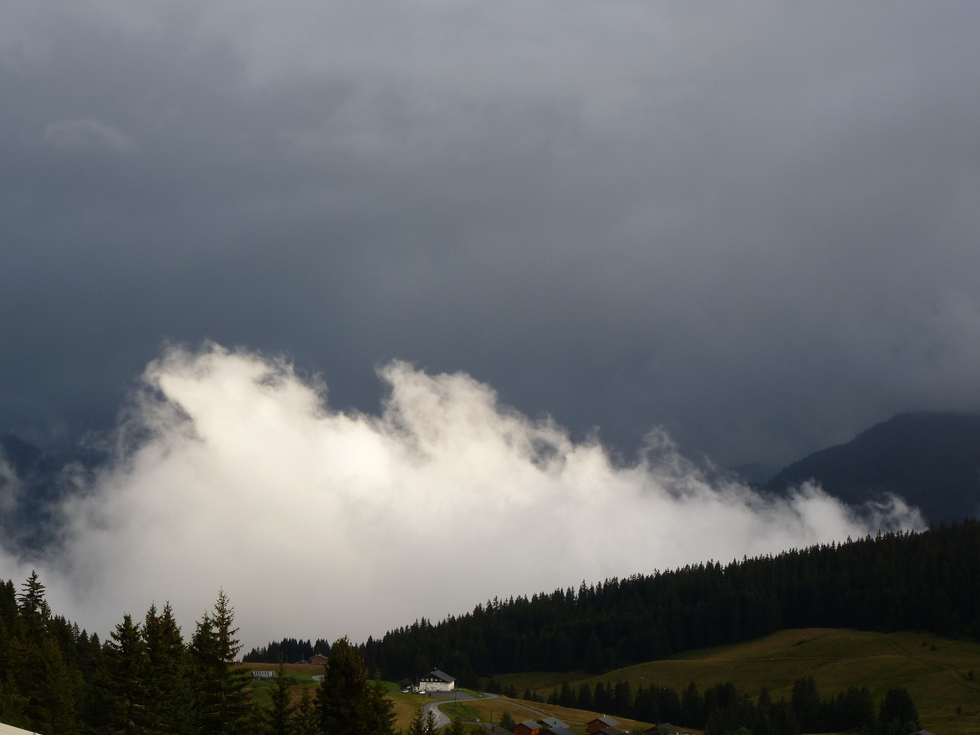 crepuscule aux saisies