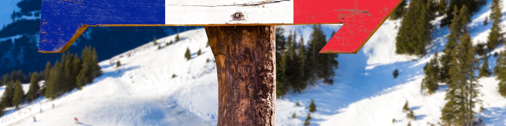 France Flag wooden sign with winter background