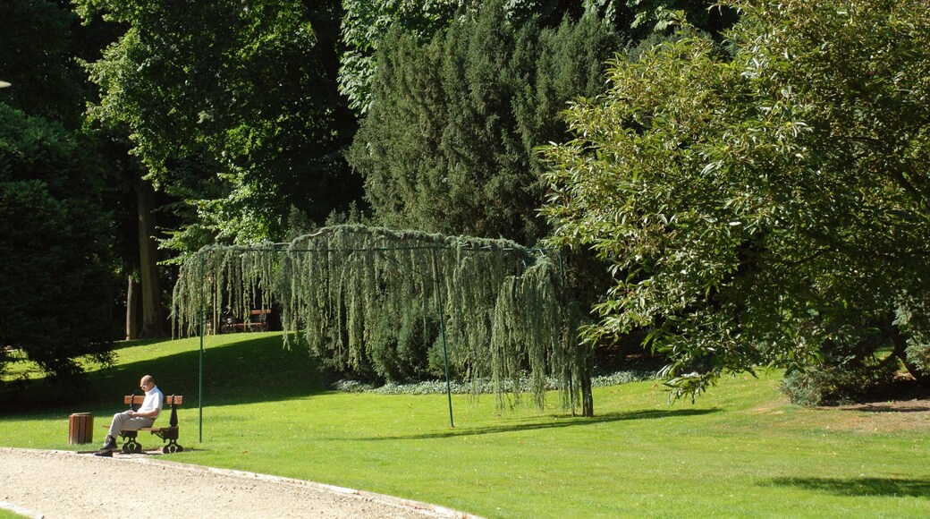 Meurthe y Mosela mostrando un parque y vistas de paisajes y también un hombre