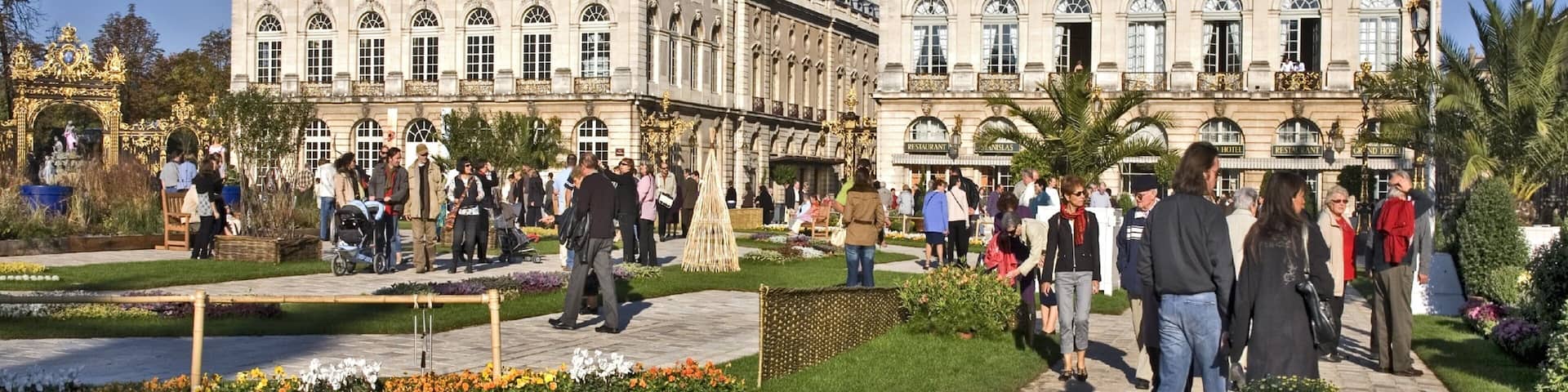 Nancy which includes flowers, heritage architecture and a city