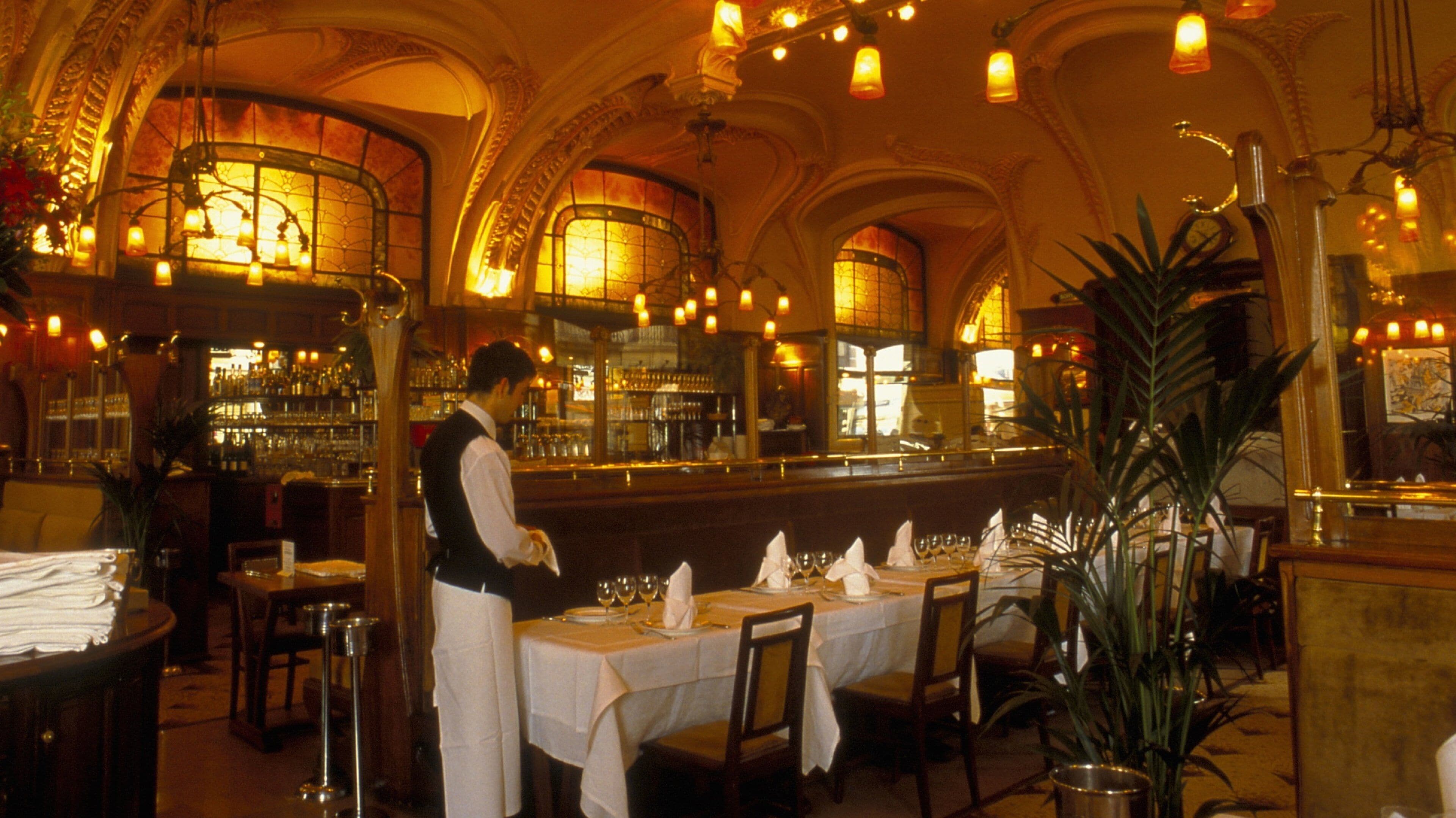 Meurthe y Mosela mostrando vistas interiores y salir a cenar y también un hombre