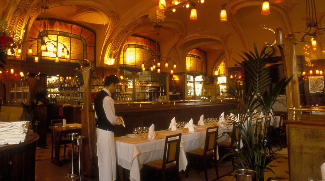 Meurthe y Mosela mostrando vistas interiores y salir a cenar y también un hombre