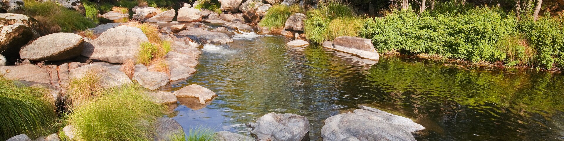 Um rio calmo serpenteando por uma paisagem rochosa, com vegetação exuberante e árvores.