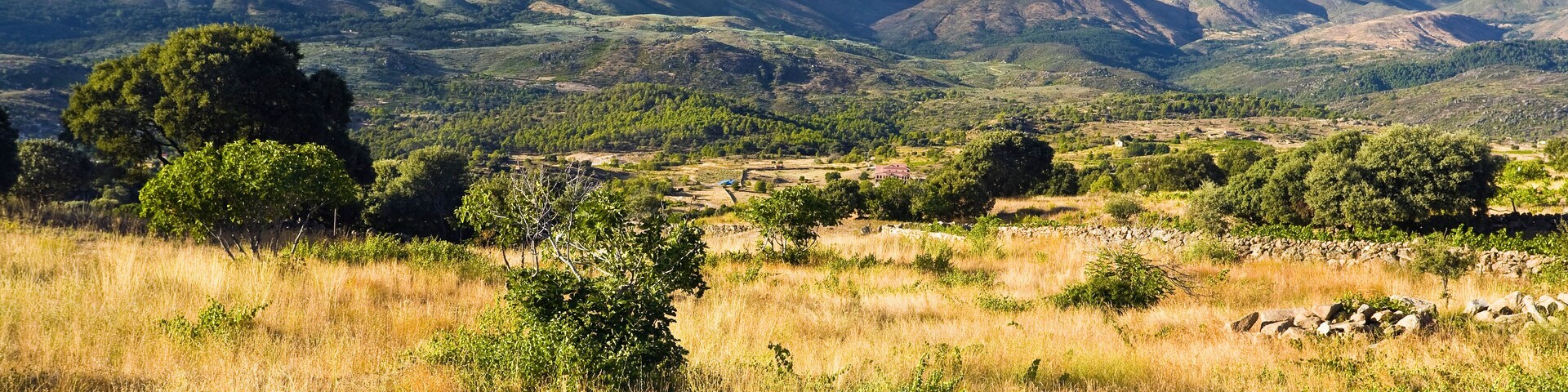 Sierra de Gredos desde Burgohondo