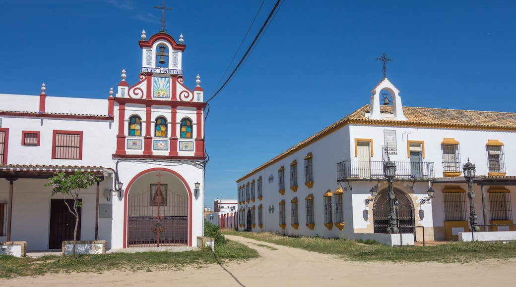 "Brotherhood of Los Palacios and Villafranca" and "Brotherhood of Cádiz, White Dove" in El Rocio, Huelva, Andalusia, Spain.