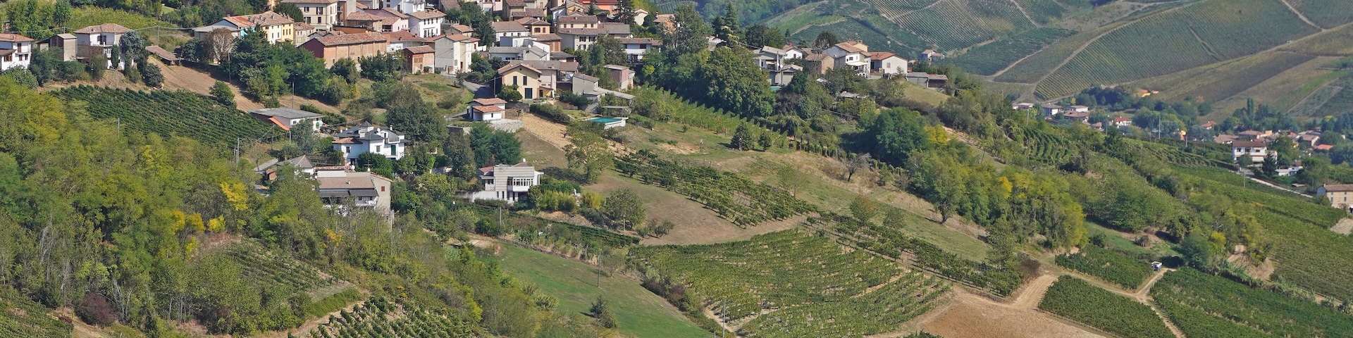 Oltrepo Pavese , Pavia e Broni - Cigognola castle and vineyard