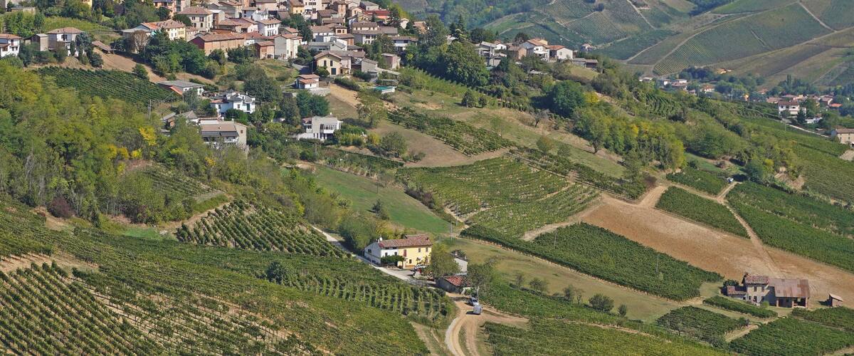 A hillside village with terraced vineyards, a historic castle, and scattered houses.