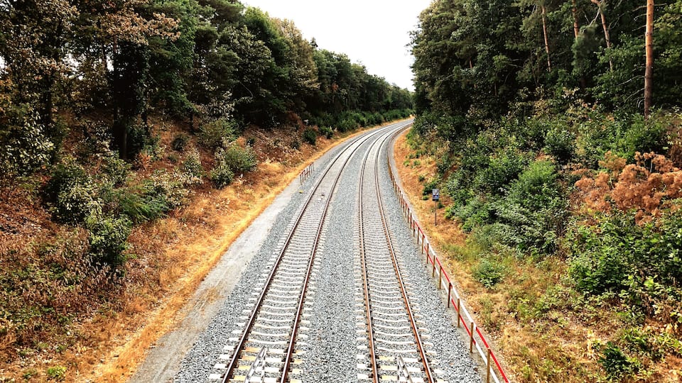 Railway tracks curving through a forested area with dense trees and dry grass.