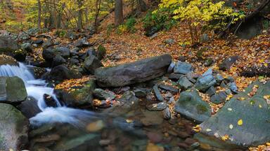 Autumn creek panorama