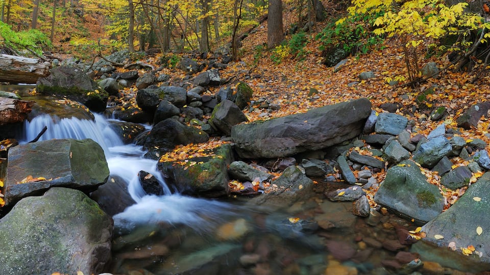 Autumn creek panorama
