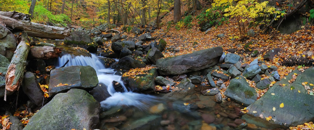 Autumn creek panorama